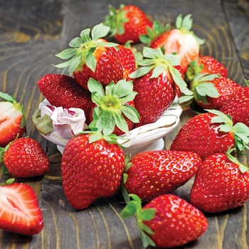 Strawberry Strawberry