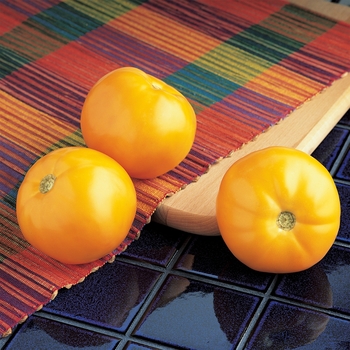 Tomato
