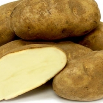 Potato Potato