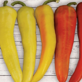Pepper, Hot Pepper, Hot