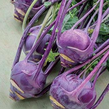 Kohlrabi