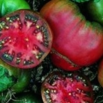Tomato Tomato