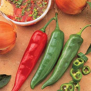 Pepper, Hot Pepper, Hot